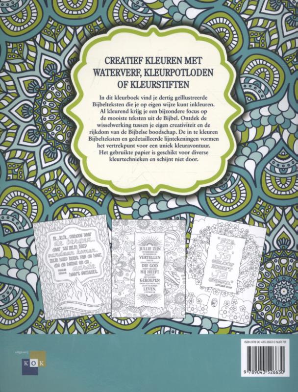 Productafbeelding: achterkant van Bijbels kleurboek