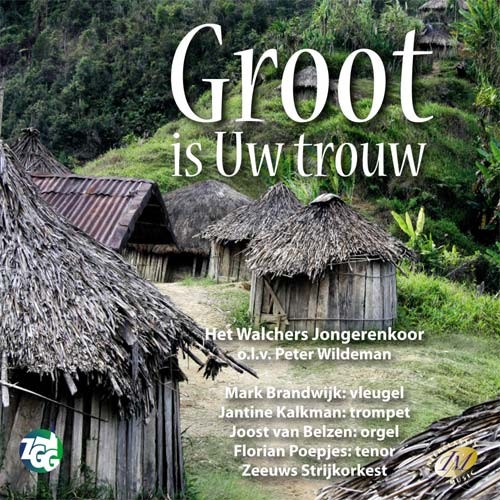 Productafbeelding: voorkant van Groot is Uw trouw