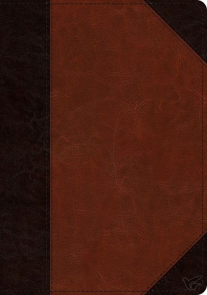 Productafbeelding: voorkant van Large Print Wide Margin Bible Brown/Cord