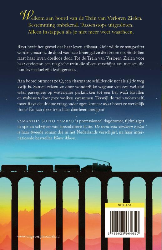 Productafbeelding: achterkant van De trein van verloren zielen
