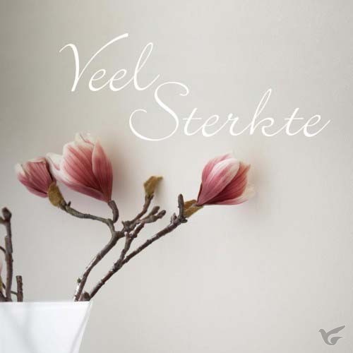 Productafbeelding: voorkant van Veel sterkte