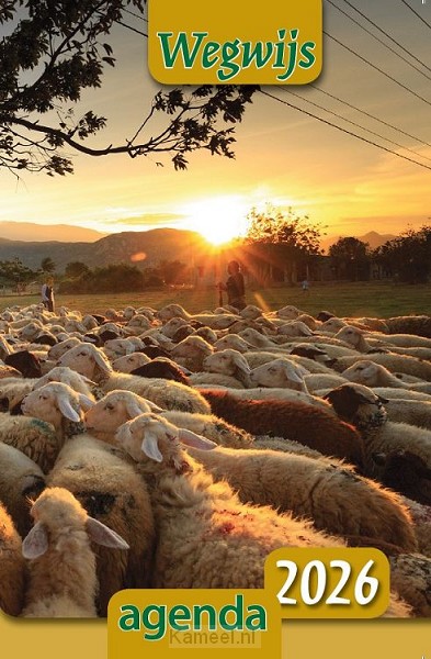 Productafbeelding: voorkant van Wegwijsagenda 2026