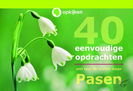 Productafbeelding: voorkant van 40 eenvoudige opdrachten om toe te leven