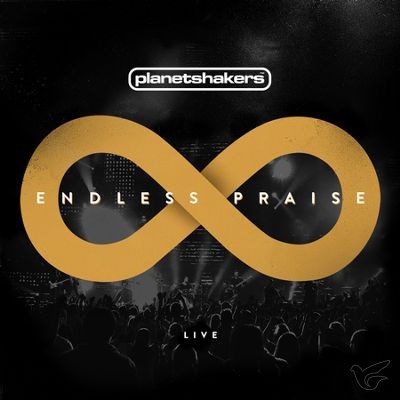 Productafbeelding: voorkant van Endless praise CD