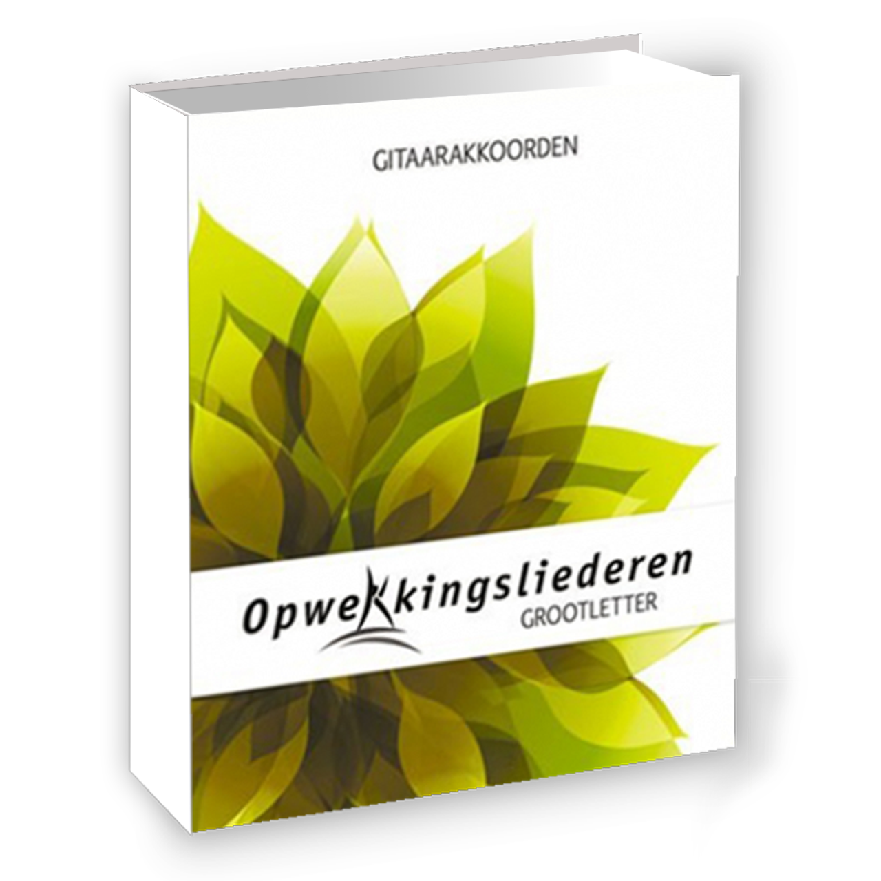 Productafbeelding: voorkant van Groteletterboek gitaarakkoorden (1-921)