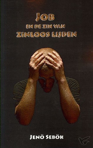 Productafbeelding: voorkant van Job en de zin van zinloos lijden