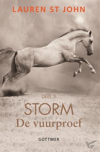 Productafbeelding: voorkant van Storm
