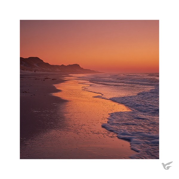 Productafbeelding: voorkant van Kaart De branding