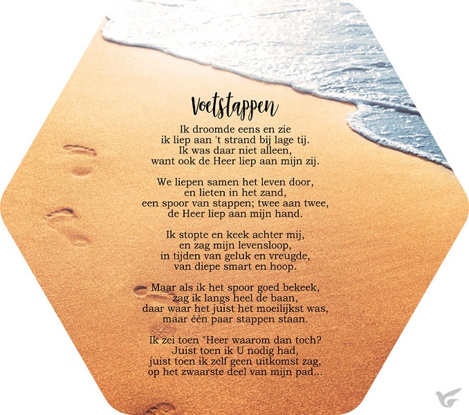 Productafbeelding: voorkant van Voetstappen in het zand