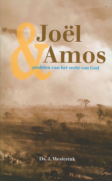 Productafbeelding: voorkant van Joel en amos