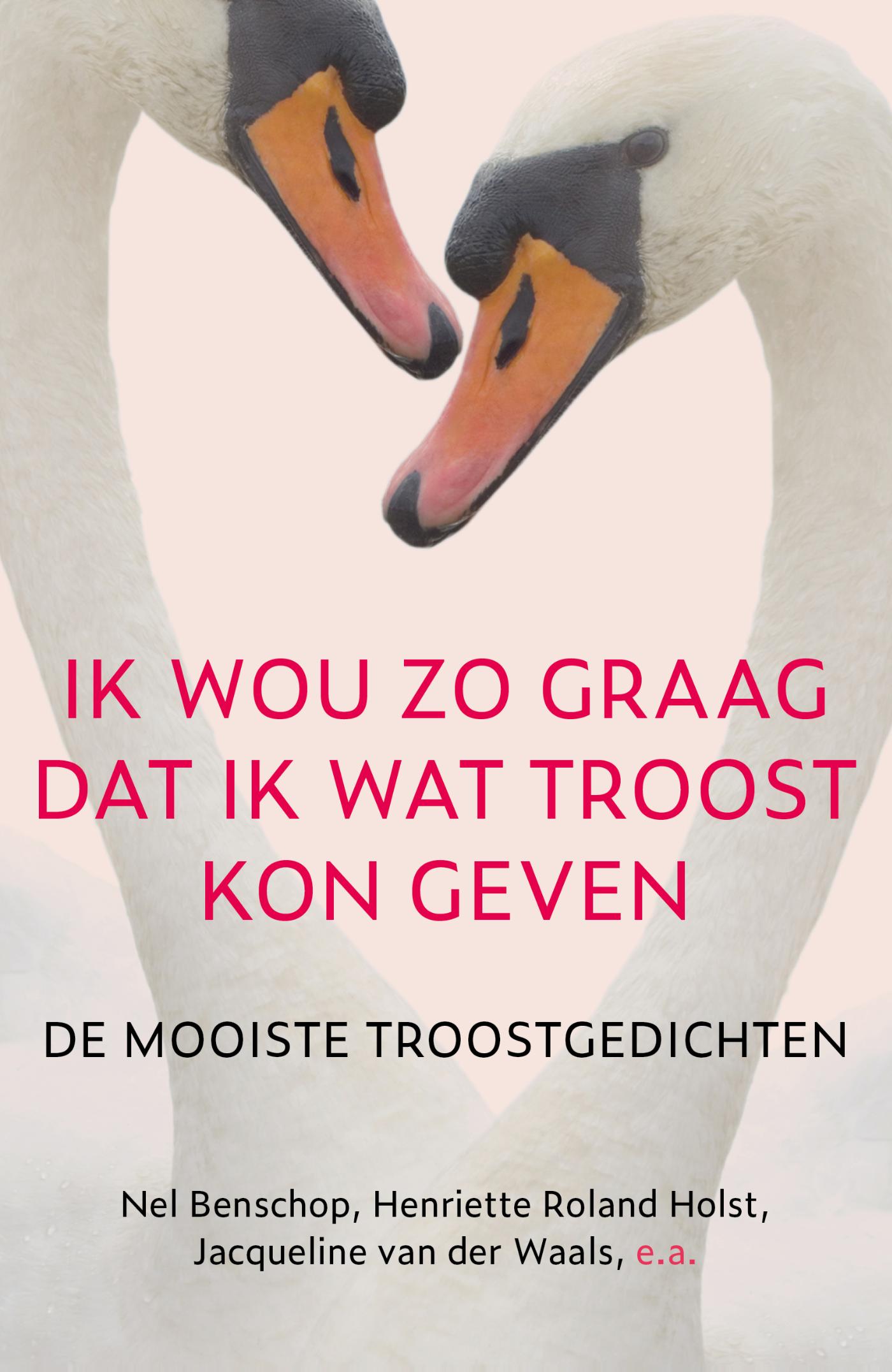 Productafbeelding: voorkant van Ik wou zo graag dat ik wat troost kon geven