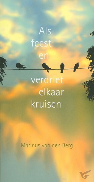 Productafbeelding: voorkant van Als feest en verdriet elkaar raken