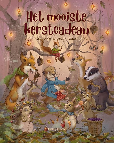 Productafbeelding: voorkant van Mooiste kerstcadeau