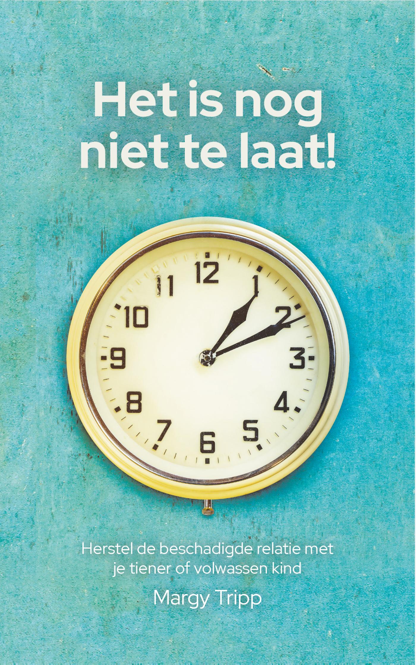 Productafbeelding: voorkant van Het is nog niet te laat!