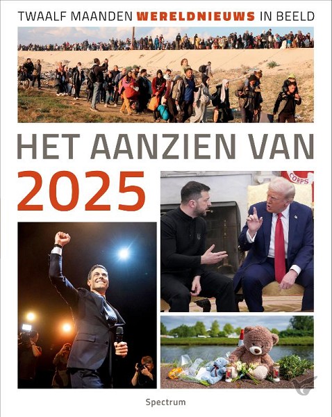 Productafbeelding: voorkant van Het aanzien van 2025