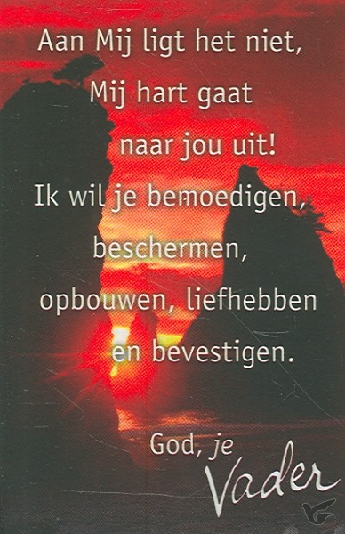 Productafbeelding: voorkant van Aan mij ligt het niet