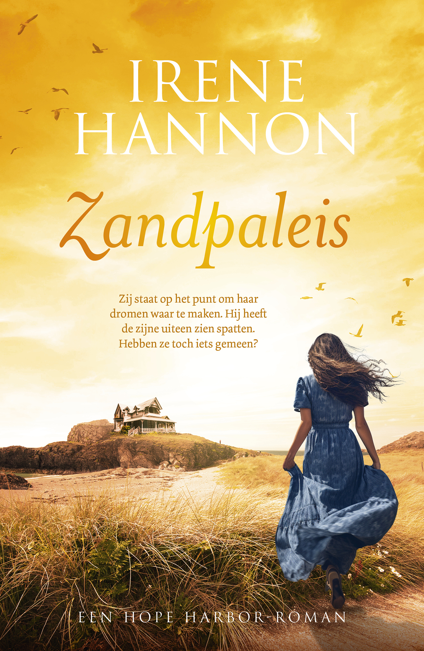 Productafbeelding: voorkant van Zandpaleis