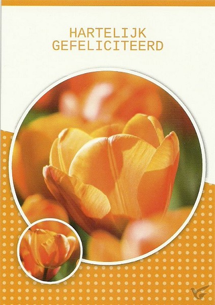 Productafbeelding: voorkant van Ansichtkaart met tekst MT135