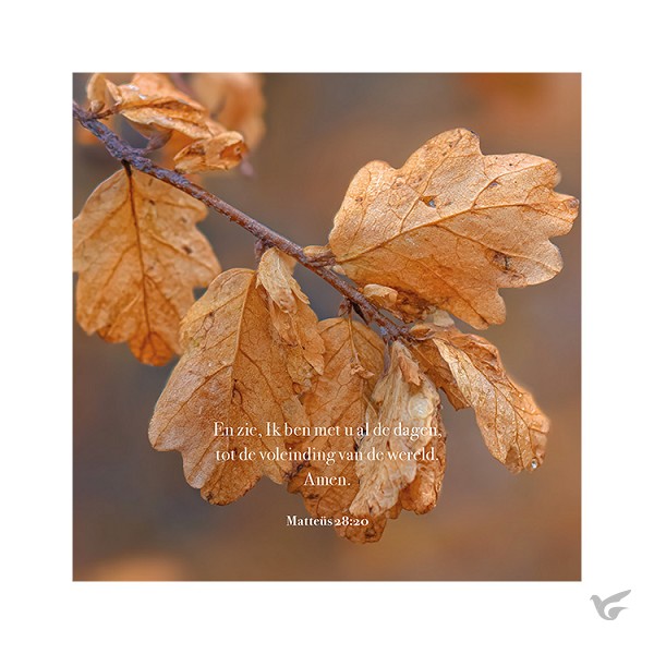 Productafbeelding: voorkant van Kaart Herfstblad Matteüs 28:20