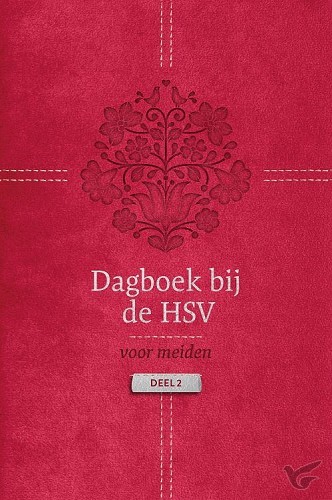 Productafbeelding: voorkant van Dagboek bij de hsv voor meiden 2