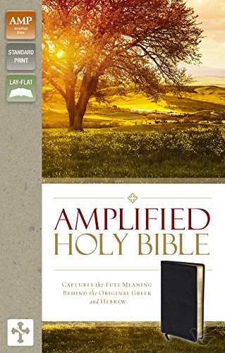 Productafbeelding: voorkant van Amplified Thinline Holy Bible