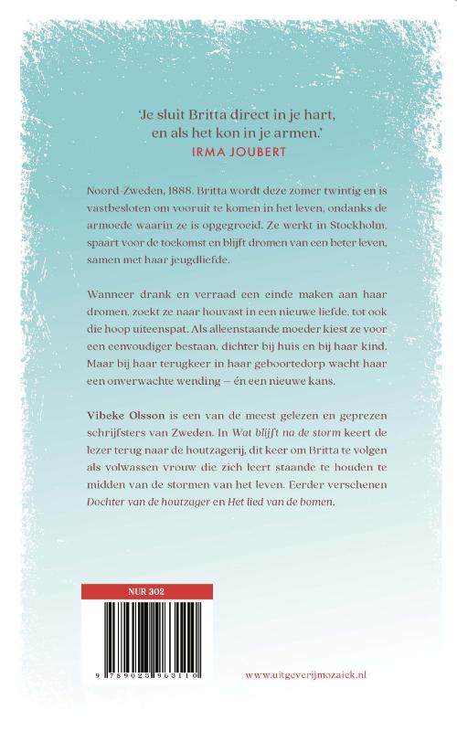 Productafbeelding: achterkant van Wat blijft na de storm