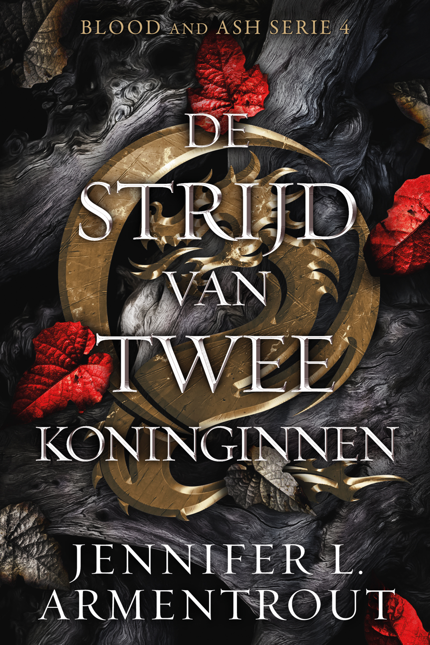 Productafbeelding: voorkant van De strijd van twee koninginnen