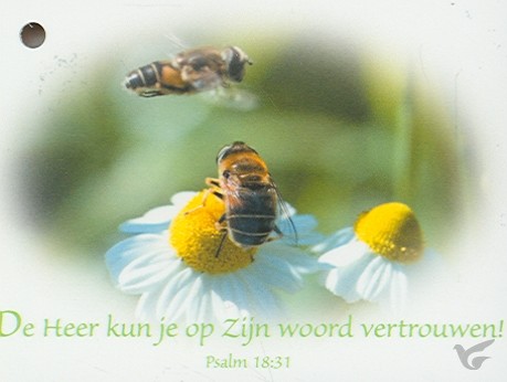Productafbeelding: voorkant van Kadokaartje psalm 18:31