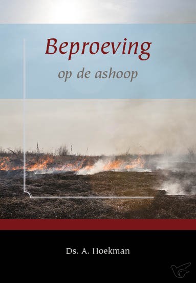 Productafbeelding: voorkant van Aanvechting op de ashoop