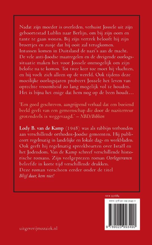 Productafbeelding: achterkant van Weeskinderen