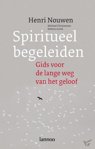 Productafbeelding: voorkant van Spiritueel begeleiden  POD