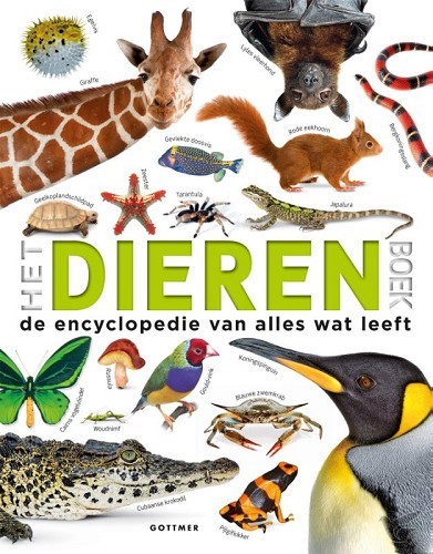 Productafbeelding: voorkant van Dierenboek