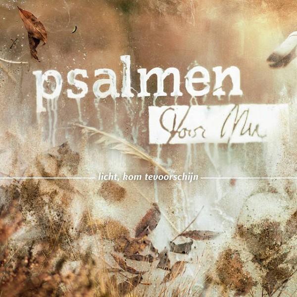 Productafbeelding: voorkant van Licht, kom tevoorschijn