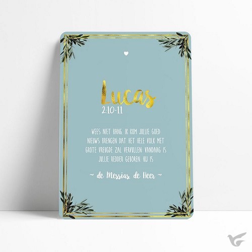 Productafbeelding: voorkant van Lucas 2:10-11
