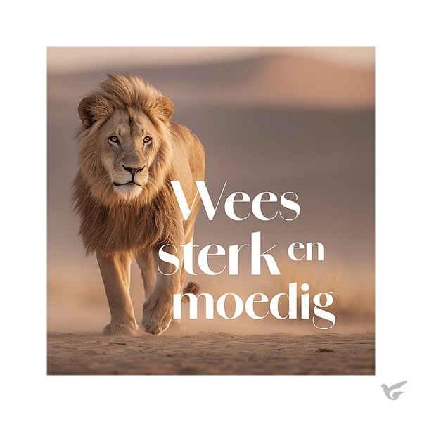 Productafbeelding: voorkant van Kaart Leeuw