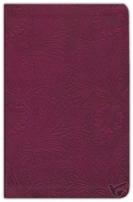 Productafbeelding: voorkant van ESV - Value Thinline Bible