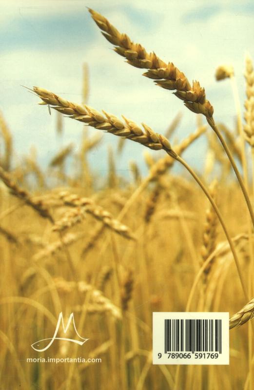 Productafbeelding: achterkant van Licht voor elke dag