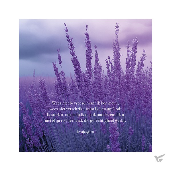 Productafbeelding: voorkant van Kaart Lavendel Jesaja 41:10