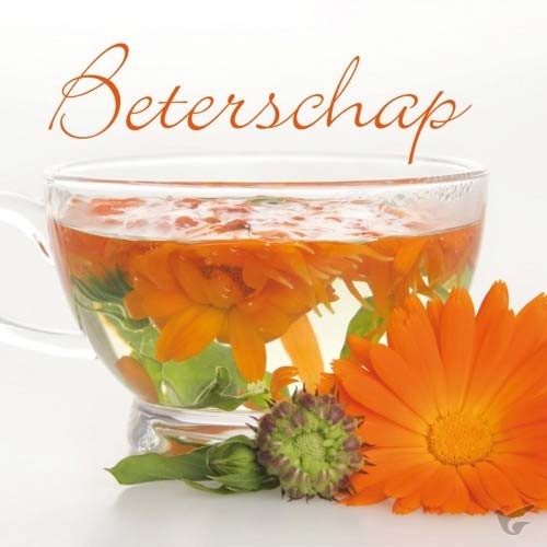 Productafbeelding: voorkant van Beterschap