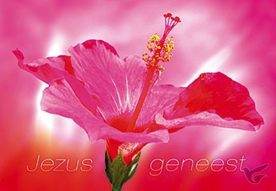 Productafbeelding: voorkant van Wenskaart Jezus geneest