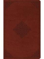 Productafbeelding: voorkant van ESV Large Print Value Thinline Bible-Tan Ornament Design TruTone