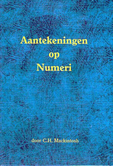 Productafbeelding: voorkant van Aantekeningen op numeri