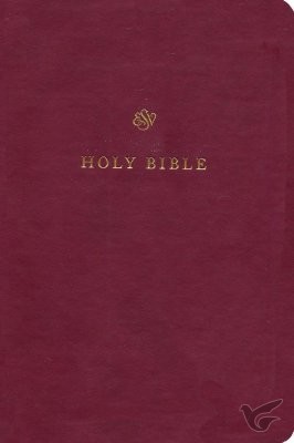 Productafbeelding: voorkant van ESV - Gift & Award Bible