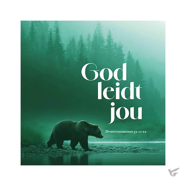 Productafbeelding: voorkant van Kaart God leidt jou