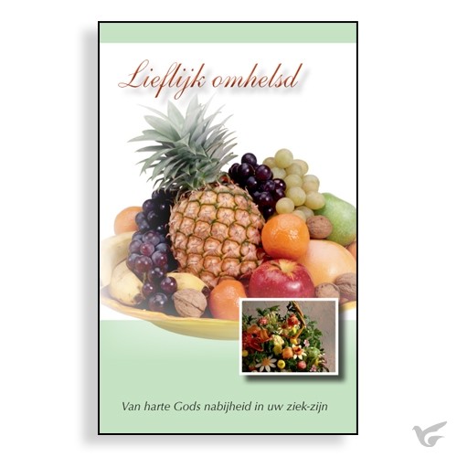 Productafbeelding: voorkant van Wenskaartenboekje lieflijk omhelsd