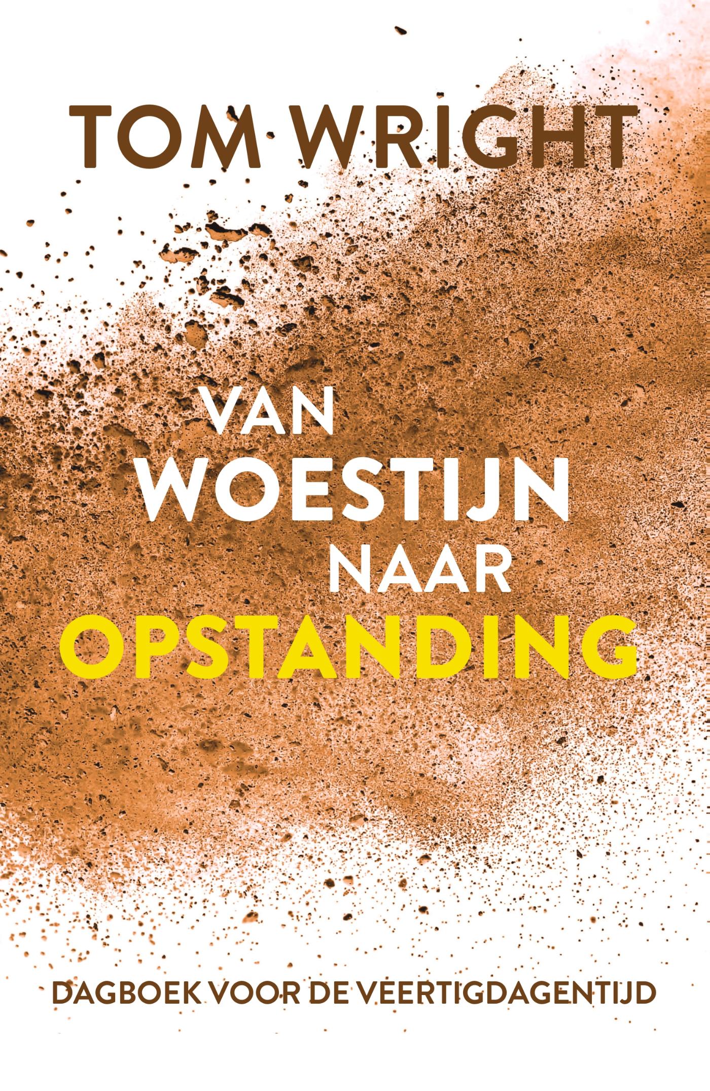 Productafbeelding: voorkant van Van woestijn naar opstanding