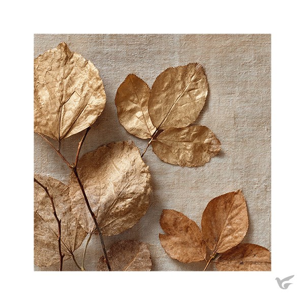 Productafbeelding: voorkant van Kaart Goudkleurige bladeren