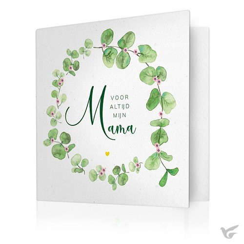 Productafbeelding: voorkant van Voor altijd mijn mama