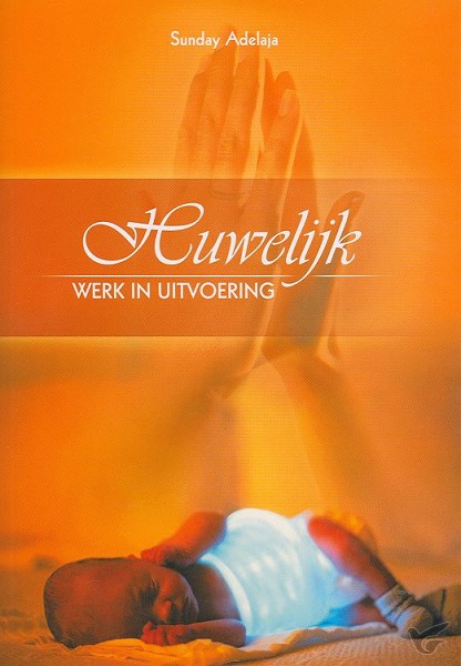 Productafbeelding: voorkant van Huwelijk werk in uitvoering