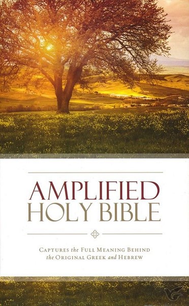 Productafbeelding: voorkant van Amplified holy bible